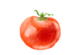 Học phí của TOMATO