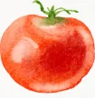 Câu chuyện của TOMATO