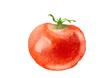 Học phí của TOMATO